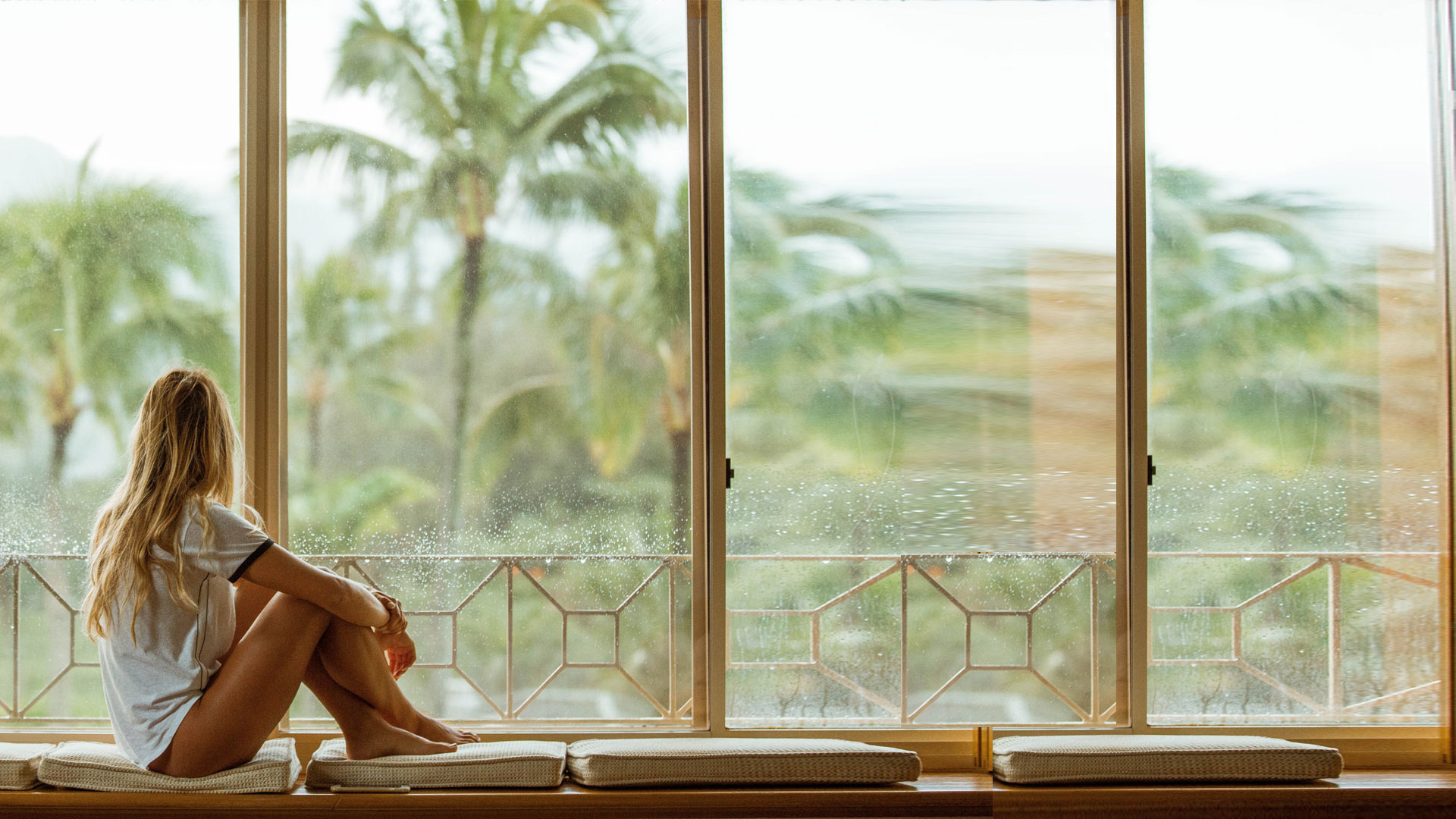 Window Cleaning in Point Loma: Beating Salt Air, Marine Layer & Hard Water